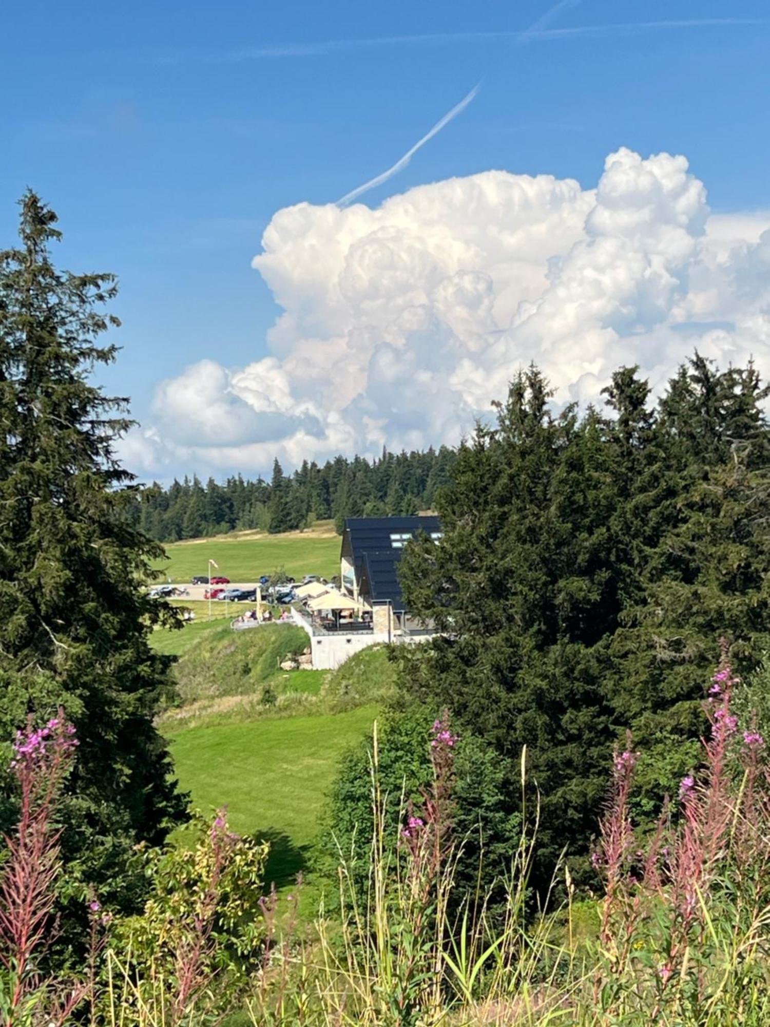 Bergwelt Kandel Hotel & Eventlocation Waldkirch Exterior foto